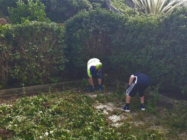 Brisbane,-Come-and-Help,-community-service-volunteers-clear-overgrowth